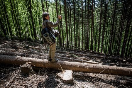 2018, kalamita Jeseníky – kůrovcová kalamita v Jeseníkách, foceno pro Hospodářské noviny