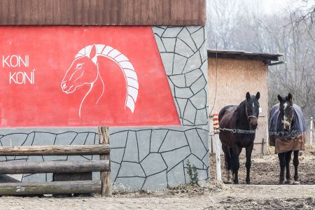 2018, Jistebník – reportáž o malých zemědělcích, foceno pro Hospodářské noviny