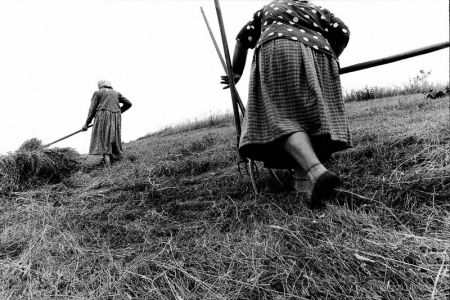 1999, Rumunsko, Banát – volná tvorba