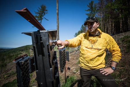 2018, kalamita Jeseníky – kůrovcová kalamita v Jeseníkách, foceno pro Hospodářské noviny